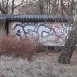 IMG 0018-150x150 in Graffitis machen graue Wände lebendig.. Teil I